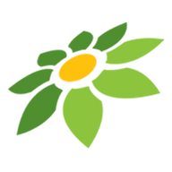 LOGO INSTAGRAM JPG